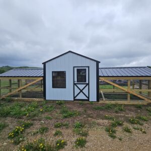 Double Run CountryVibe 8x30 chicken coop
