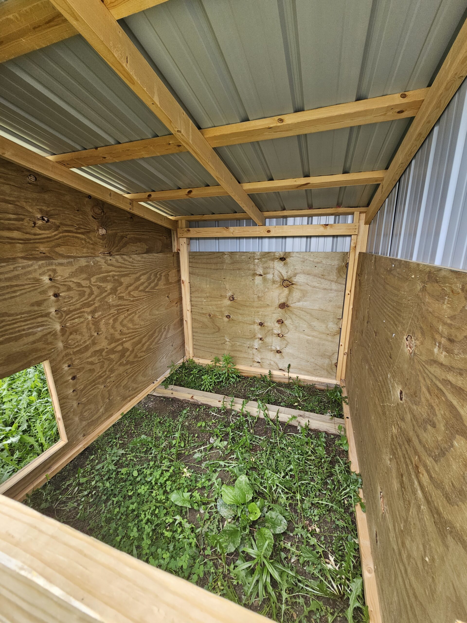 8x12 animal shed - Image 7