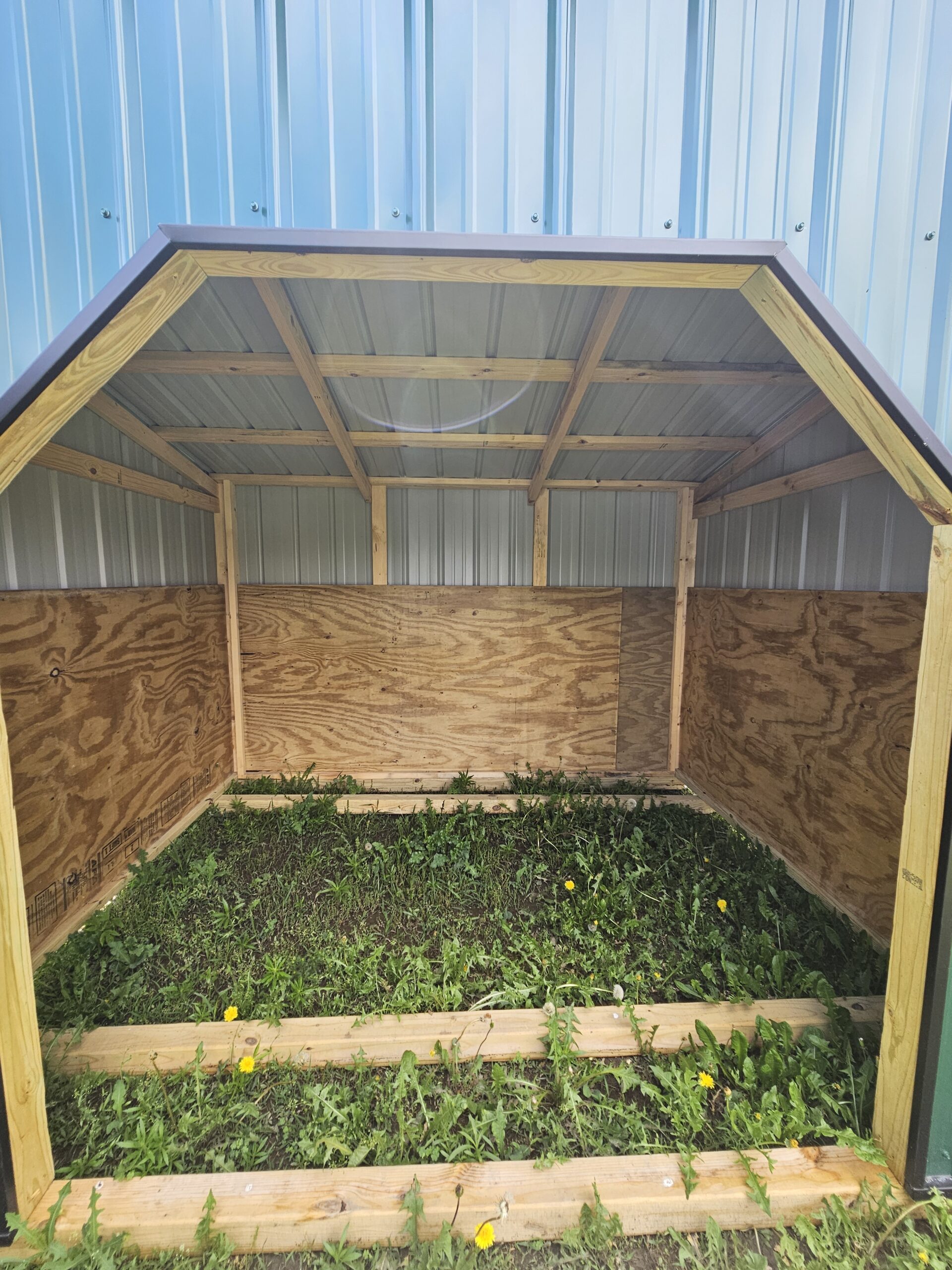8x10 livestock Shelter - Image 3