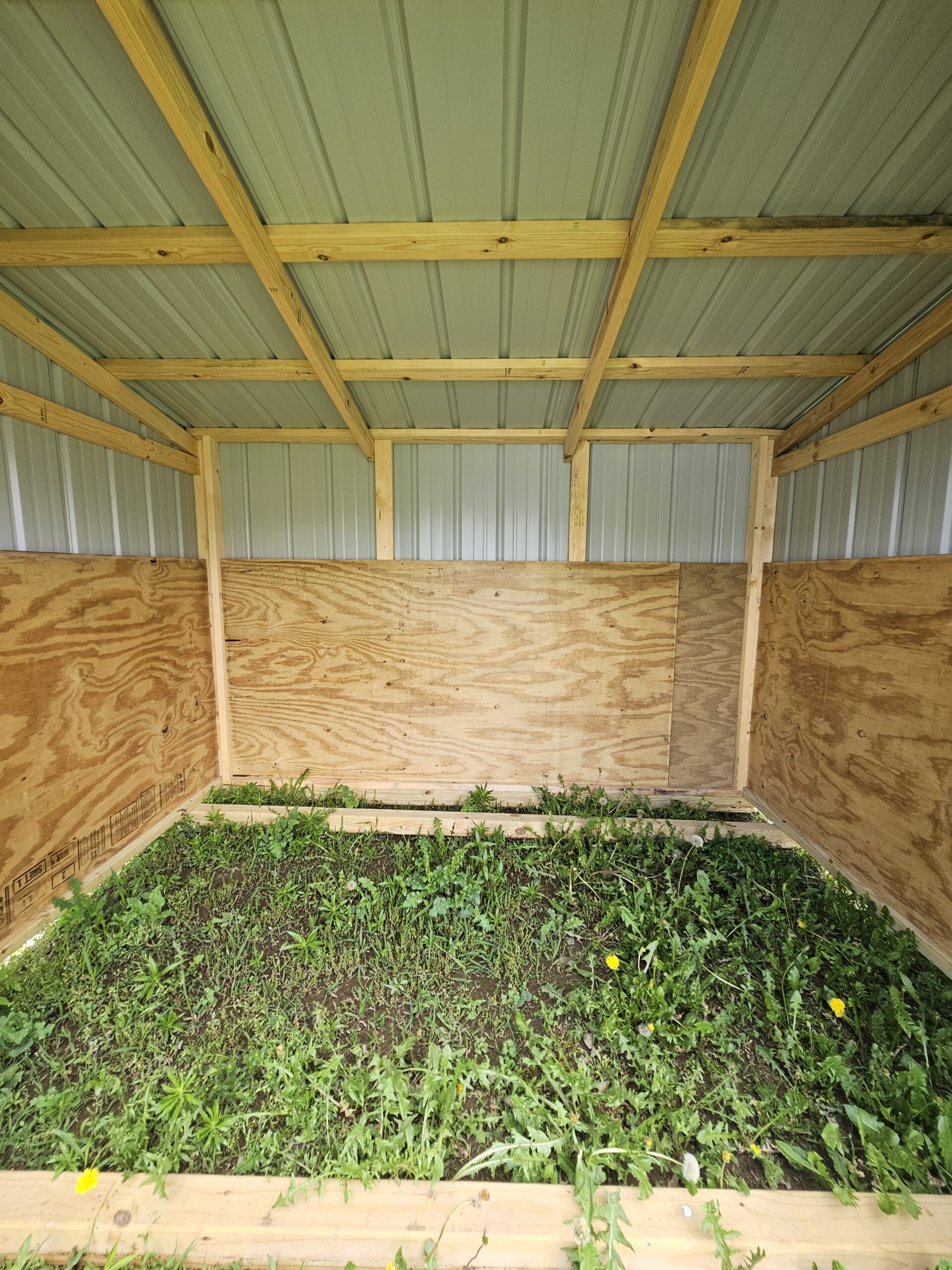 8x10 livestock Shelter - Image 4