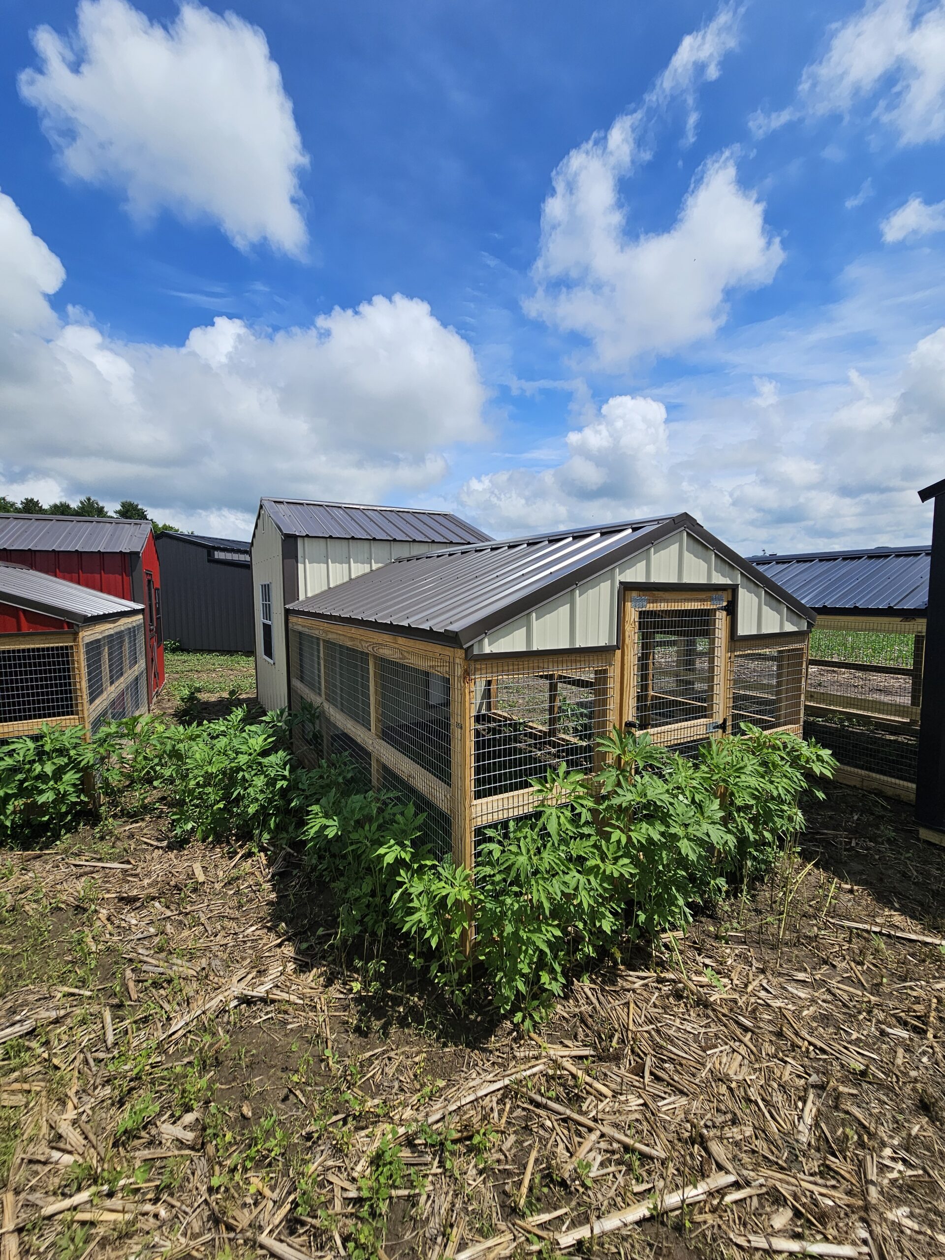 8x20 Country Vibe Coop - Image 3