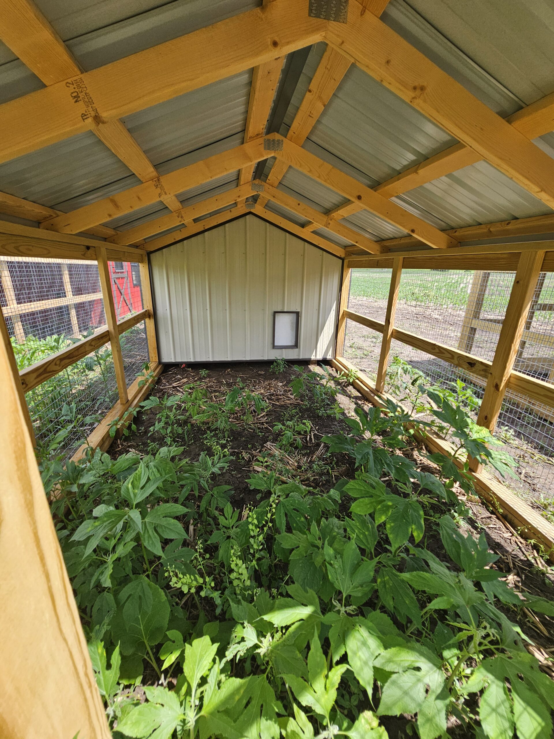 8x20 Country Vibe Coop - Image 5