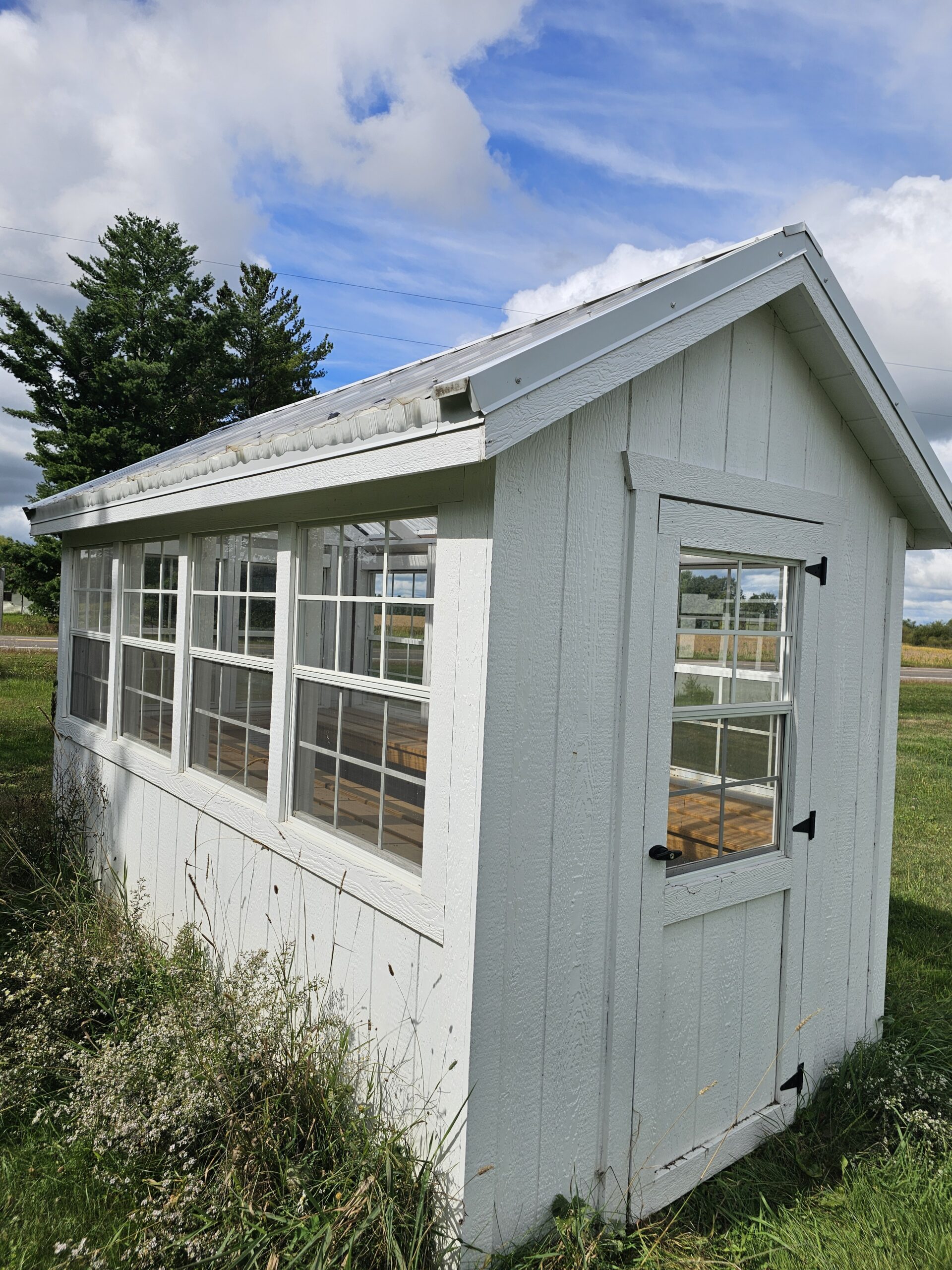 6x12 Standard Greenhouse (White)